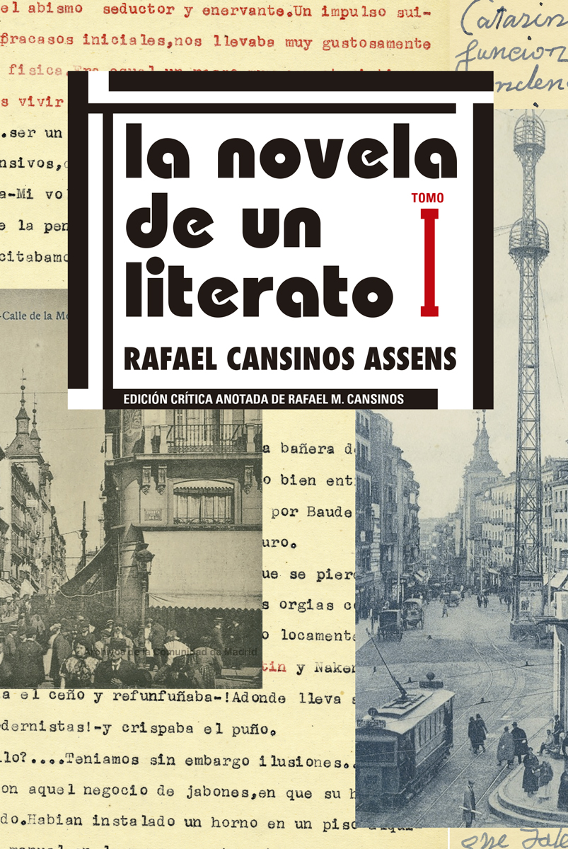 La novela de un literato (edición crítica)